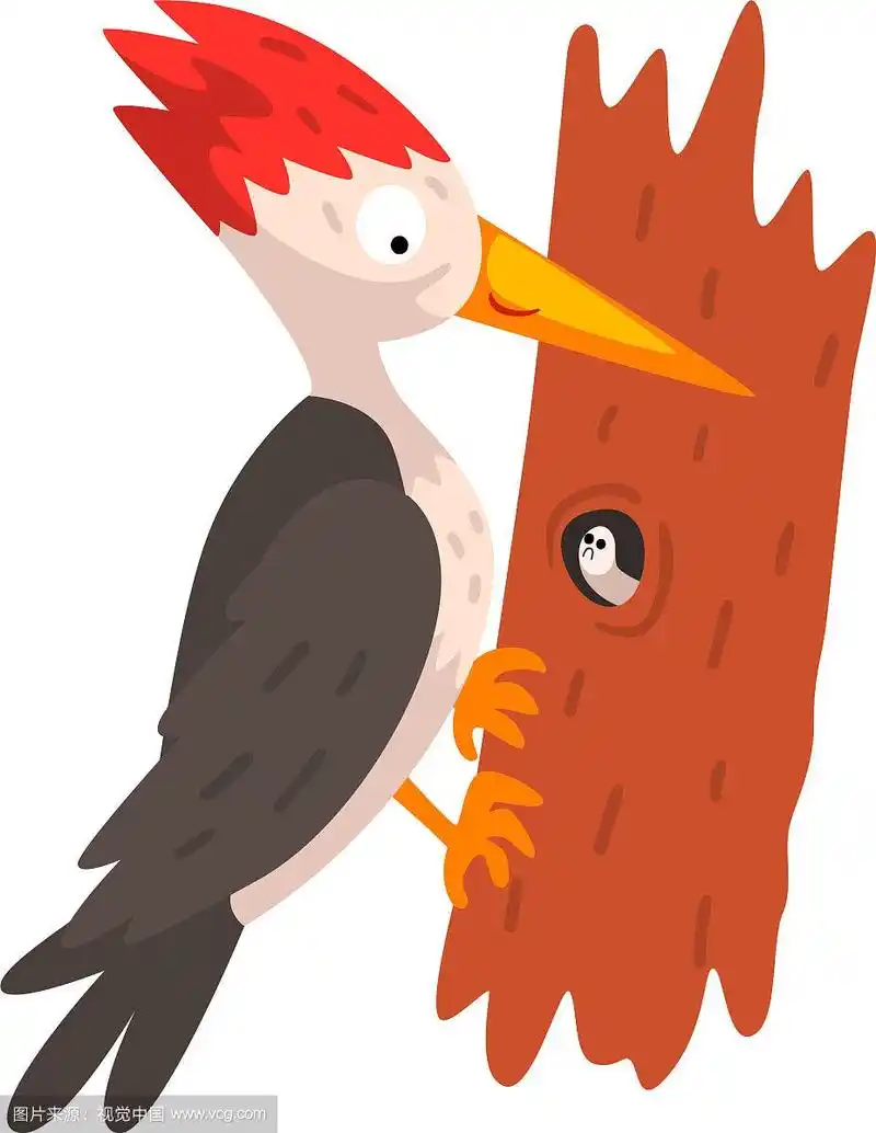 可爱的啄木鸟和一只虫子坐在树上