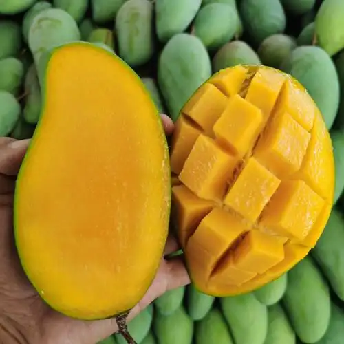 海南大青箱包整箱芒果热带甜心青芒现摘金煌芒果