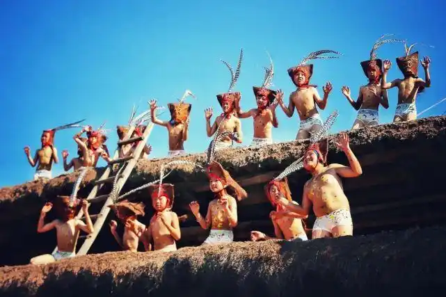 双柏县的彝族传统舞蹈老虎笙,大锣笙,小豹子笙被称为彝族古傩仪的"