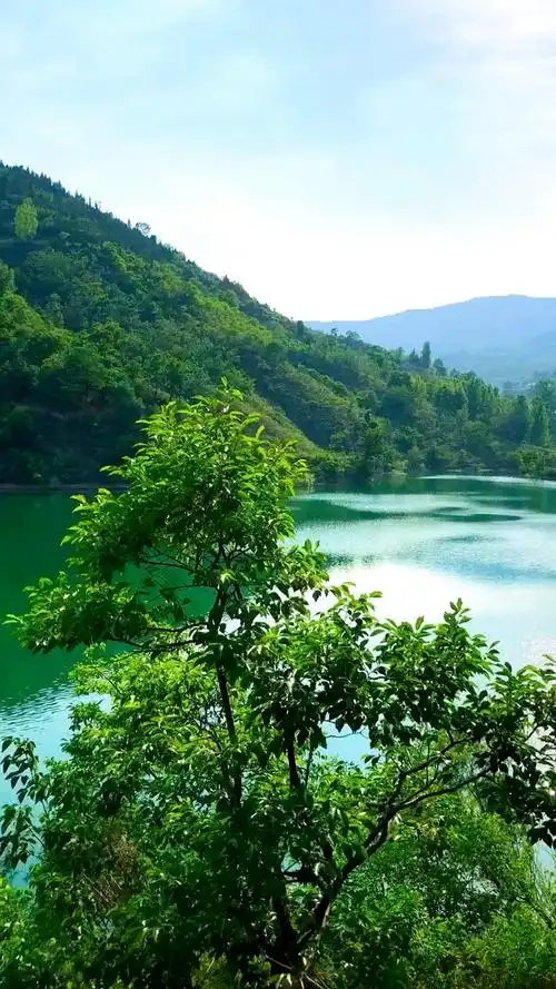 万水千山总是情,最美的风景是与你同行