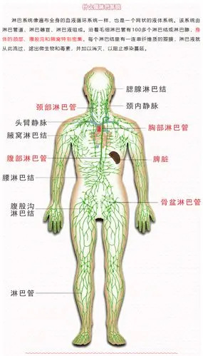 淋巴回流消肿—水肿患者的希望2021-06-04查看详情