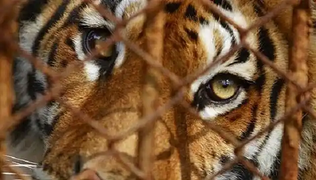 武警交通指挥部原副司令员瞿木田因涉嫌严重违纪问题被立案调查