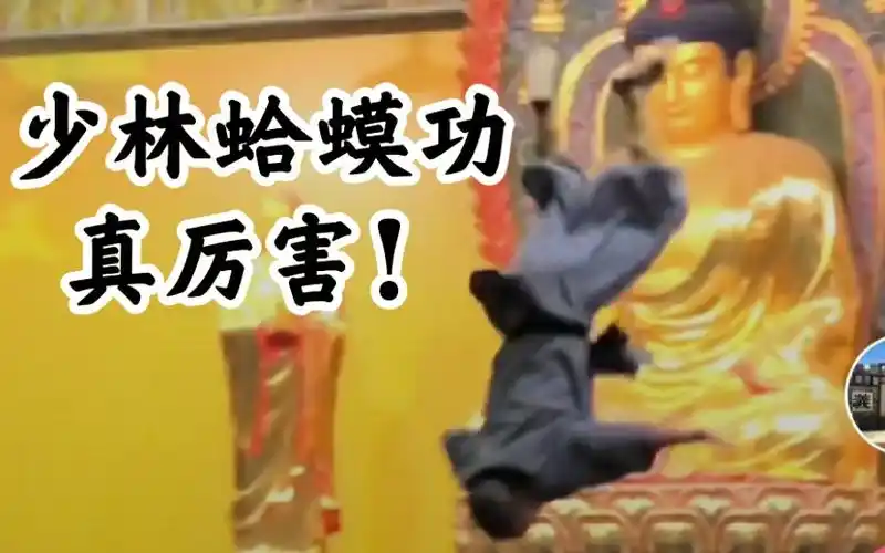 少林蛤蟆功好厉害中国功夫少林武僧是真的