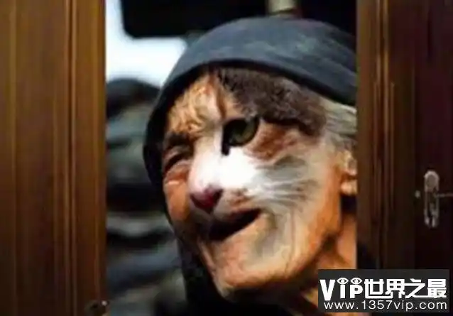 黑龙江离奇诈尸的哈尔滨猫脸老太太事件