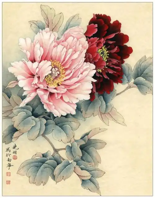 李晓明工笔画牡丹步骤图四