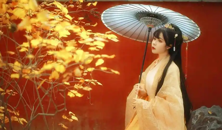 抖音上比较火的古装女子照片电脑桌面壁纸