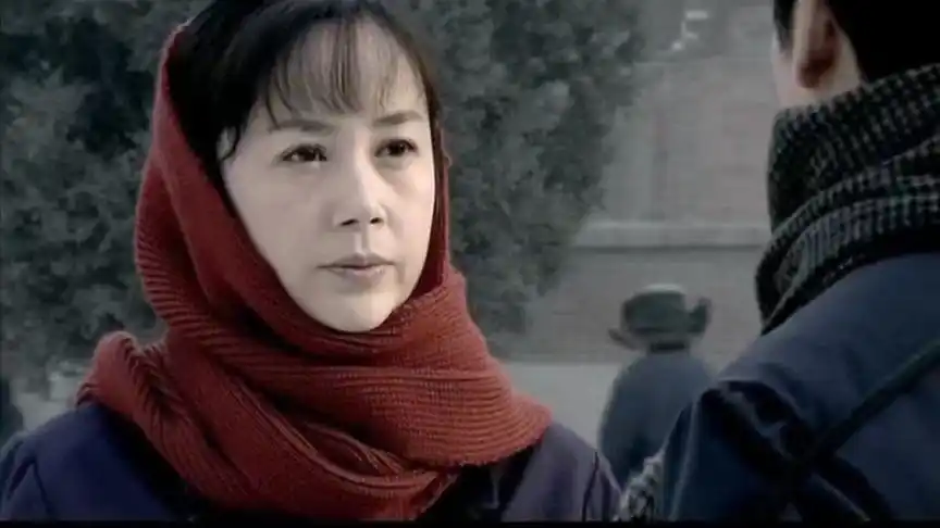 《金婚》蒋雯丽,张国立主演的真实爱情故事