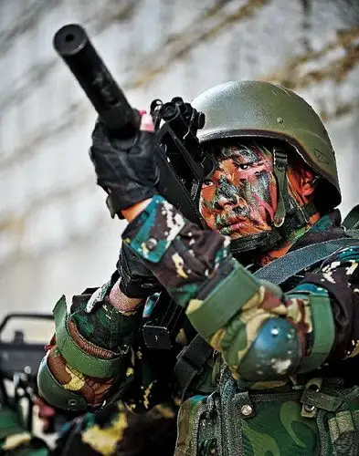 pla特种作战部队组成简介