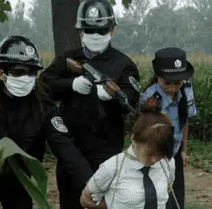 黑龙江火葬场"诈尸"事件纪实:美女死刑犯被枪决,火化前却复活