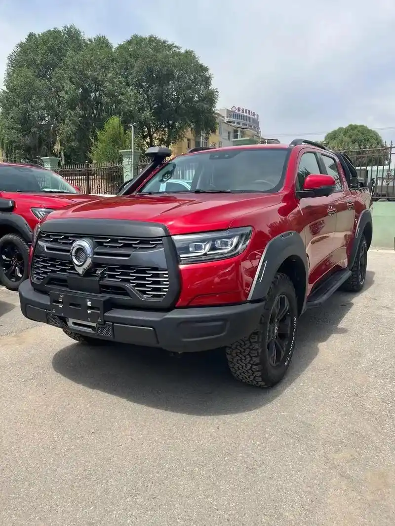 【车辆型号】2020款 长城61炮 越野版.【车辆型号】202 - 抖音