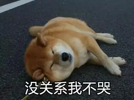 可爱搞笑柴犬微信表情包图片