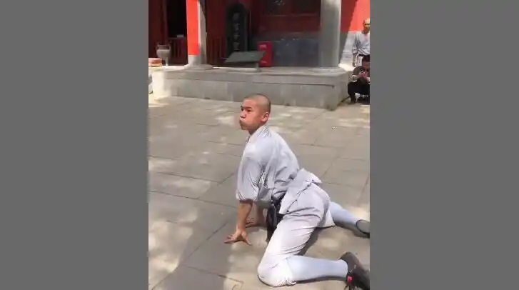 少林象形拳之蛤蟆功