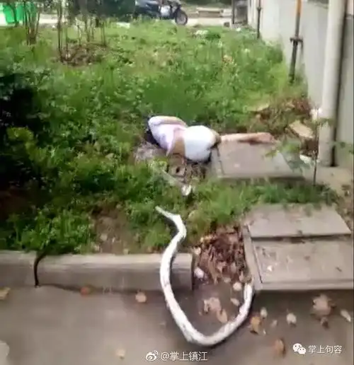 句容玉清苑的坠楼小女孩抢救无效身亡