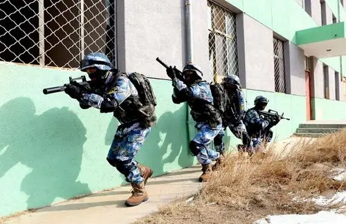 pla特种作战部队组成简介