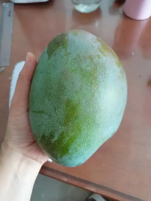 单果2斤青芒果我该怎么吃