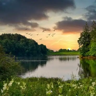 2021最新最美的日出风景头像高清图片大全